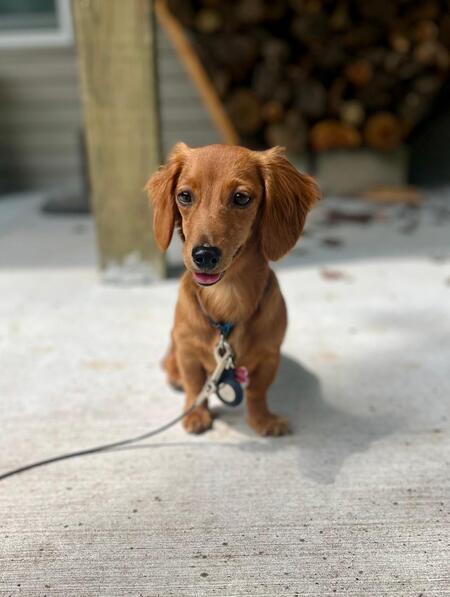 Entry image for Cassie. Clicking this image will show a larger photo