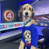 Entry image for Louie Bear