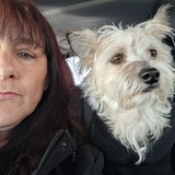 Entry image for Benjii