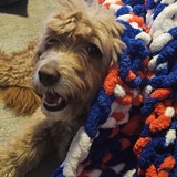 Entry image for Charlie Rose