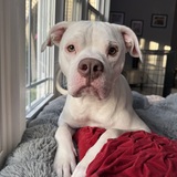 Entry image for Daisy 