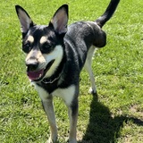 Entry image for Winnie