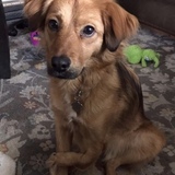 Entry image for Audrey