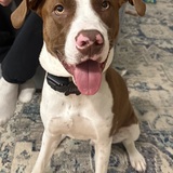 Entry image for Liam