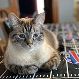 Entry image for Marbles