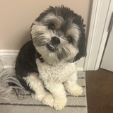 Entry image for Teddy Grahams 