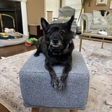 Entry image for Wolfgang von Barken