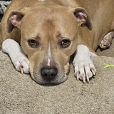 Entry image for Carter 