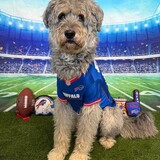 Entry image for Morty