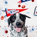 Entry image for Ella