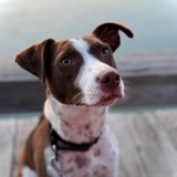 Entry image for Miley 