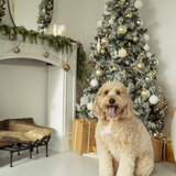 Entry image for Sophie