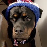 Entry image for Zaza