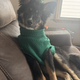 Entry image for Hailee 