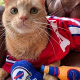 Entry image for Henry 