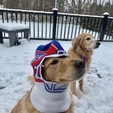Entry image for Kobe and Penny