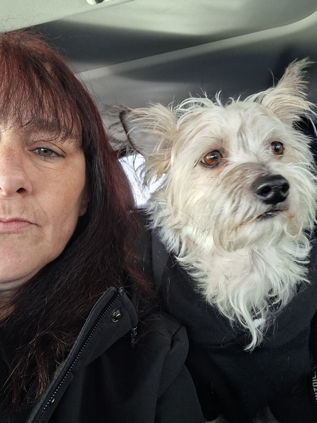 Entry image for Benjii. Clicking this image will show a larger photo