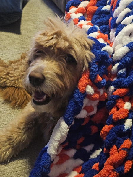 Entry image for Charlie Rose. Clicking this image will show a larger photo