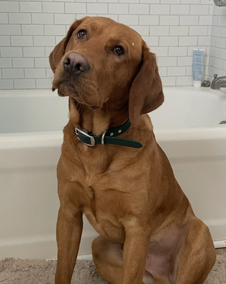 Entry image for Archie Allen. Clicking this image will show a larger photo