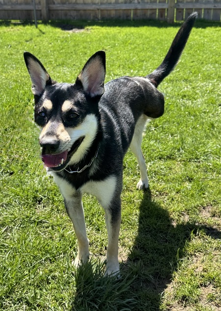 Entry image for Winnie. Clicking this image will show a larger photo