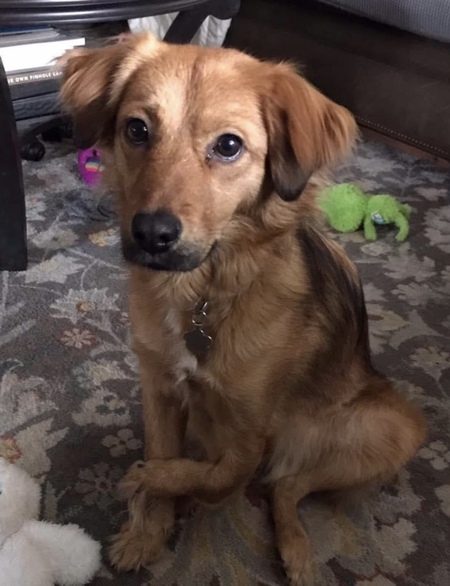 Entry image for Audrey. Clicking this image will show a larger photo