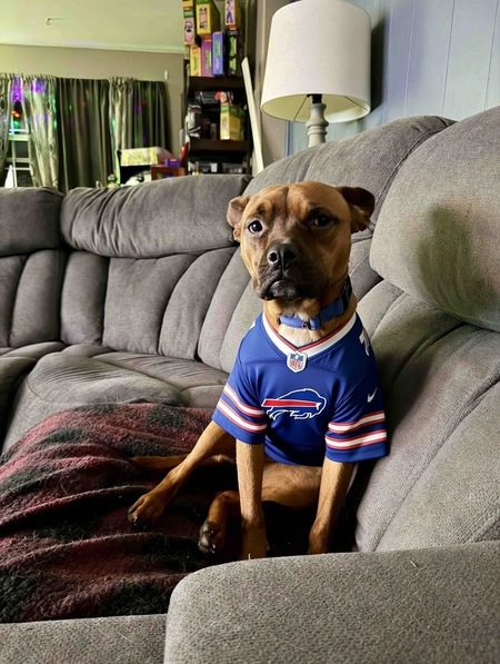 Entry image for Roo. Clicking this image will show a larger photo