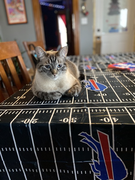 Entry image for Marbles. Clicking this image will show a larger photo