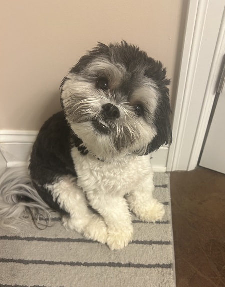 Entry image for Teddy Grahams . Clicking this image will show a larger photo