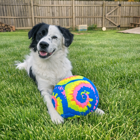 Entry image for Myla. Clicking this image will show a larger photo