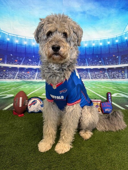 Entry image for Morty. Clicking this image will show a larger photo