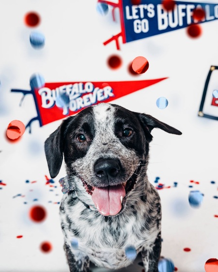 Entry image for Ella. Clicking this image will show a larger photo