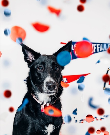 Entry image for Eva. Clicking this image will show a larger photo