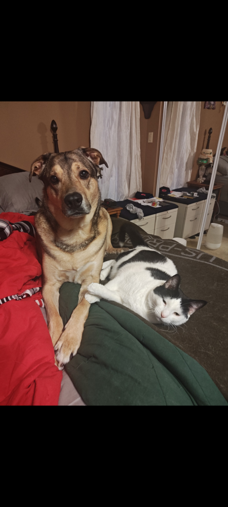 Entry image for Prince . Clicking this image will show a larger photo