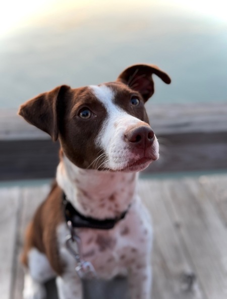 Entry image for Miley . Clicking this image will show a larger photo