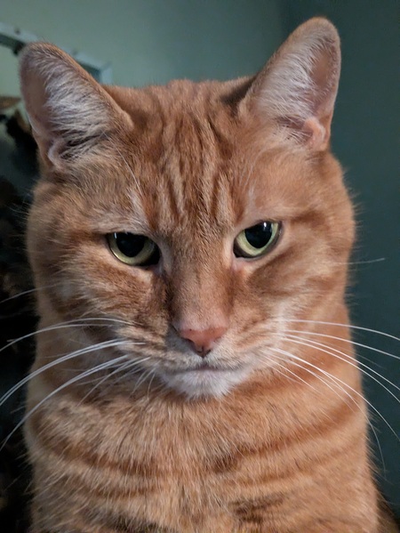 Entry image for Geri. Clicking this image will show a larger photo