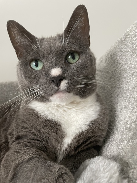 Entry image for Haley. Clicking this image will show a larger photo