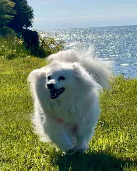 Entry image for Emma. Clicking this image will show a larger photo