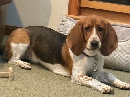 Entry image for Elsa. Clicking this image will show a larger photo