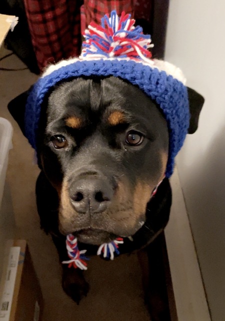 Entry image for Zaza. Clicking this image will show a larger photo