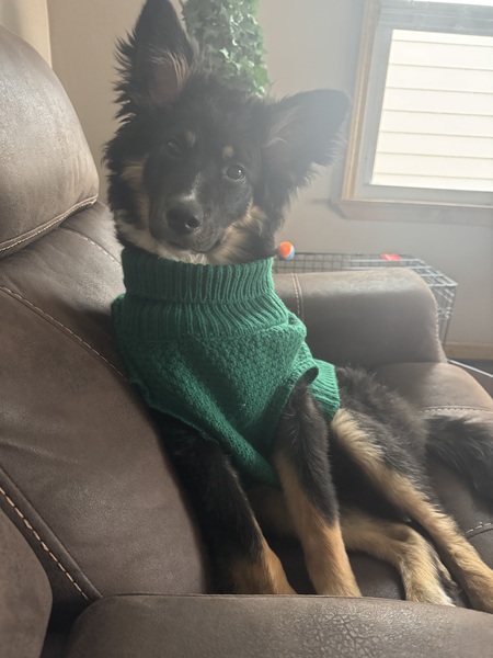 Entry image for Hailee . Clicking this image will show a larger photo