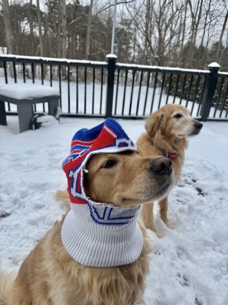 Entry image for Kobe and Penny. Clicking this image will show a larger photo