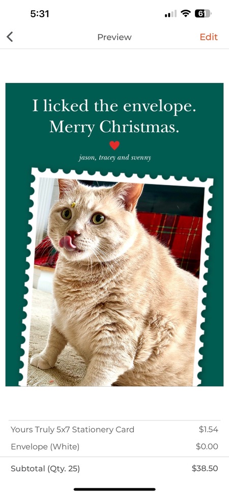 Entry image for Svenny. Clicking this image will show a larger photo