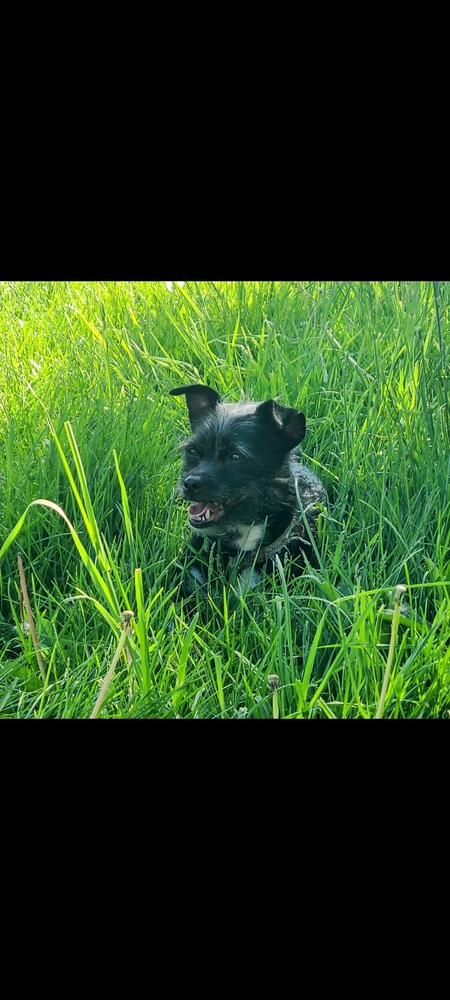Entry image for Akweh. Clicking this image will show a larger photo