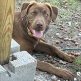 Entry image for Barrett Cole