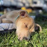 Entry image for Cooper David 