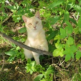 Entry image for Gerald 
