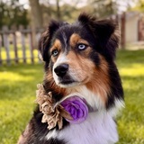 Entry image for Kora Lynne