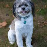 Entry image for Bailey
