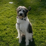 Entry image for Max