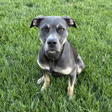 Entry image for Hazel Jane